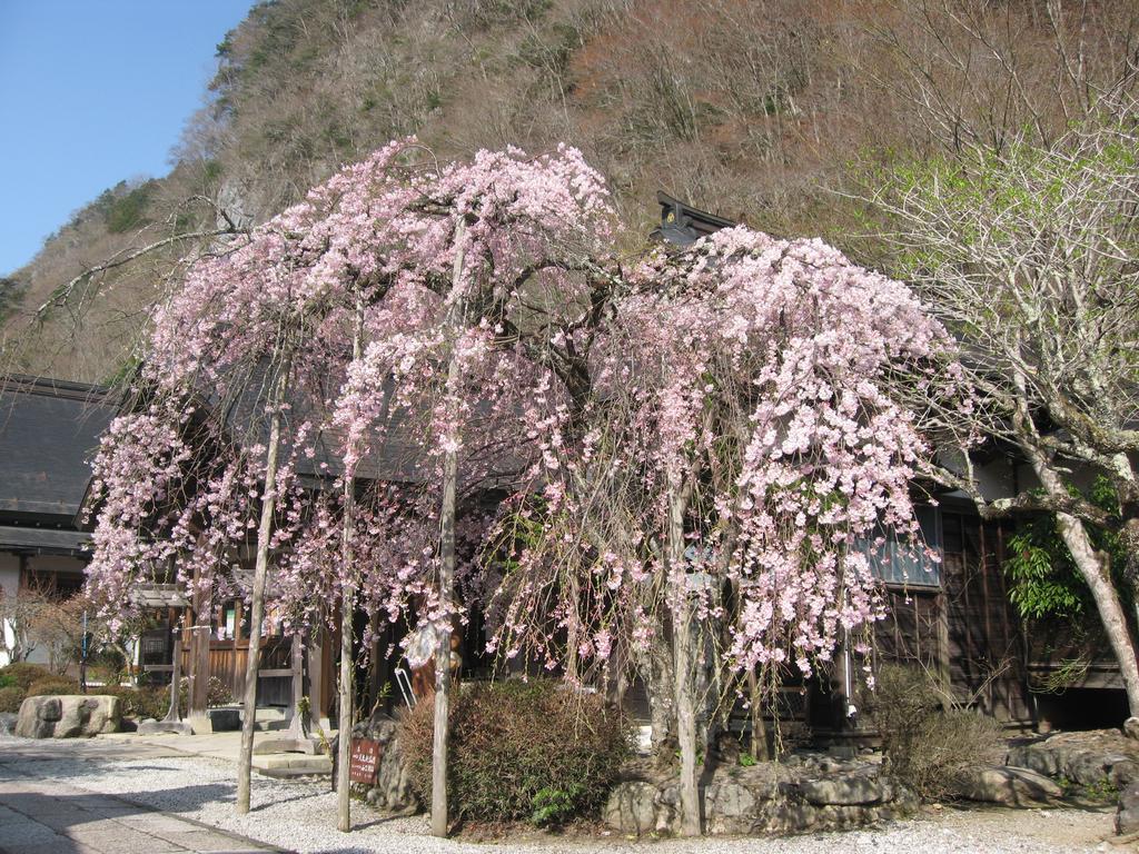 Masugen Ryokan Tenkawa Εξωτερικό φωτογραφία